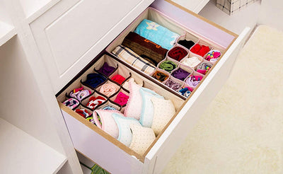 Innerwear Organizer 16+1 Compartment Non-Smell Non Woven Foldable Fabric Storage Box for Closet - Blue Polka