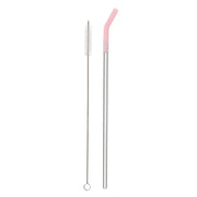 Reusable Straw Set Steel Straw, 1 Silicone Tip & 1 Cleaning Brush (3 Pcs)