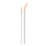 Reusable Straw Set Steel Straw, 1 Silicone Tip & 1 Cleaning Brush (3 Pcs)