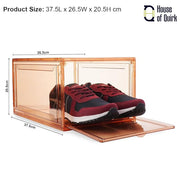Shoe Organizer, Shoe Storage Boxes with Magnetic Door (Green)
