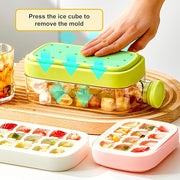 2-in-1 Ice Cube Bottle with Tray – Ice Maker & Water Bottle with Lid (800ml)