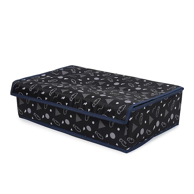 Innerwear Organizer 15+1 Compartment Non-Smell Non Woven (Black Carrot, Rectangular)