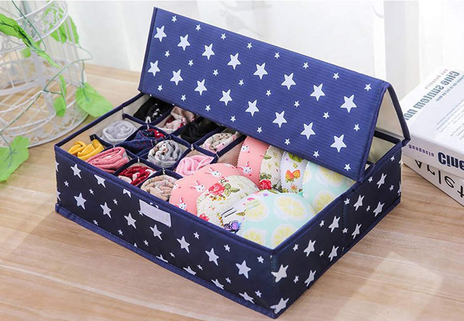 Innerwear Organizer 16+1 Compartment Foldable Closet