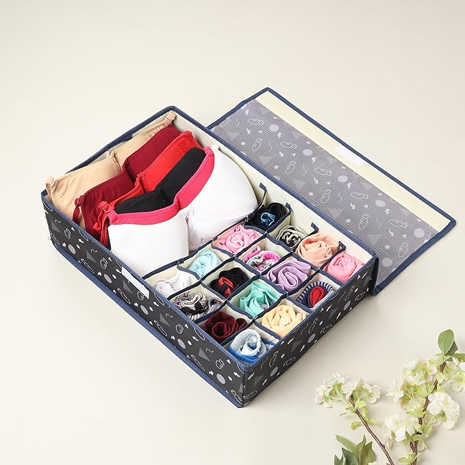 Innerwear Organizer 15+1 Compartment Non-Smell Non Woven (Black Carrot, Rectangular)