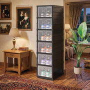 6-Layer Foldable & Stackable Shoe Cabinet with Transparent Front Door (Transparent)