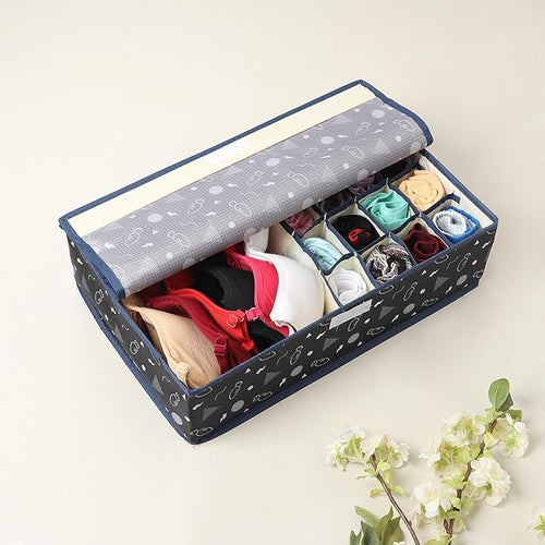 Innerwear Organizer 15+1 Compartment Non-Smell Non Woven (Black Carrot, Rectangular)