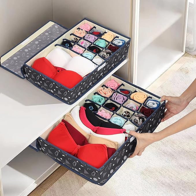 Innerwear Organizer 15+1 Compartment Non-Smell Non Woven (Black Carrot, Rectangular)