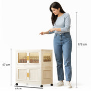 Foldable Storage Box Cabinet Wardrobe Organizer with Wheels