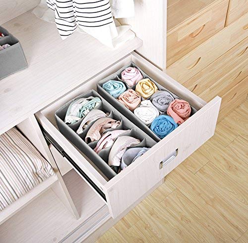 HomeStrap Innerwear/Undergarment Organizer 12+1 Compartment Non-Smell  Foldable Printed Storage Box For Underwear,Bras,Socks,Ties&Scarves(Grey)(Featured  On Shark Tank)(Non-Woven)Drawer Organizers : : Home & Kitchen