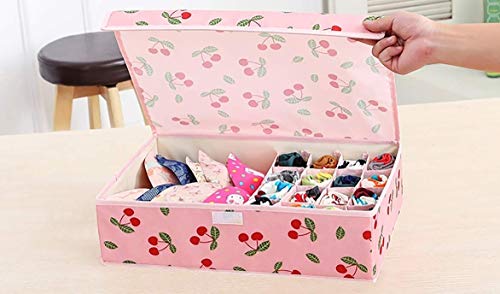 Innerwear Organizer 16+1 Compartment Non-Smell Non Woven Foldable Fabric Storage Box for Closet - Pink