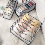 Innerwear Clothes Organizer (Pack of 3)