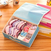 Innerwear Organizer 16+1 Compartment Foldable Closet